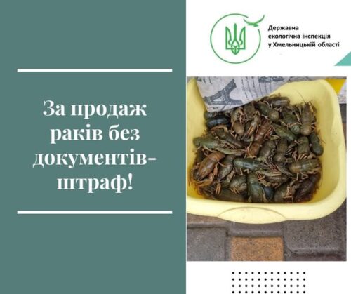 Живі раки без документів: на Хмельниччині склали адмінпротокол