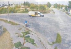 Суд виніс вирок шепетівчанину, який за тиждень встиг все: побив дитину продавчині через квітку, викрав авто «Укрпошти», ноутбук і навіть кобилу з возом