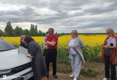 На Шепетівщині перевіряють масову загибель бджіл: фахівці відібрали зразки для досліджень