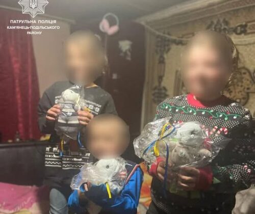 Сигнал про неналежний догляд: у селі на Хмельниччині поліцейські втрутилися в ситуацію з дітьми