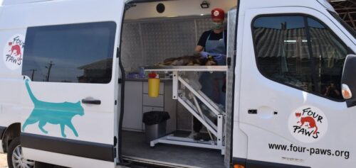 White Four Paws rescue van with teal dog silhouette on the side; an attendant stands at a raised platform inside the open rear, tending to dogs during transport; the van displays the Four Paws logo and website www.fourpaws.org.