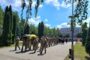 Line of soldiers in uniform marching in a military funeral, with a coffin draped in yellow and blue carried at the front on a sunny day.