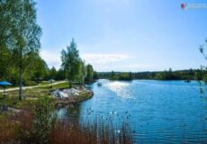 Sunlit lake with a grassy shoreline, trees, and blue umbrellas along a path.
