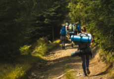 Group of hikers walking along a rocky forest trail with backpacks, sunlit trees on either side.