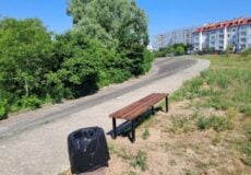 Bench beside a trash can along a curved path in a sunny park, with bushes and apartments in the background.
