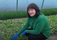 Woman in a green sweater kneels beside rows of seedlings inside a greenhouse, with four organization logos above; caption mentions 500,000 hryvnias for a greenhouse business and that the defender's wife started a family business.