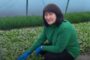 Woman in a green sweater kneels beside rows of seedlings inside a greenhouse, with four organization logos above; caption mentions 500,000 hryvnias for a greenhouse business and that the defender's wife started a family business.