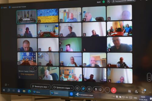 Screenshot of a virtual meeting showing numerous participants in a grid on a computer screen