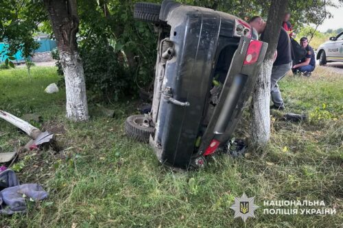 Смертельна ДТП на Шепетівщині: 32-річний водій загинув, врізавшись у дерево