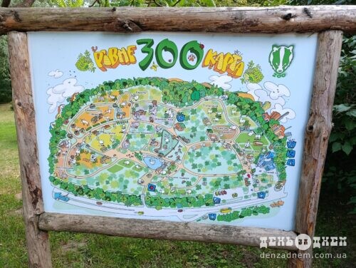 Colorful illustrated map of a zoo mounted on a wooden frame, showing paths, buildings, and greenery.