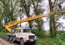 На Шепетівщині дерева пошкодили лінію електропередач: енергетики оперативно відновили світло