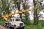 На Шепетівщині дерева пошкодили лінію електропередач: енергетики оперативно відновили світло