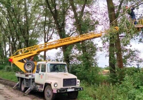 На Шепетівщині дерева пошкодили лінію електропередач: енергетики оперативно відновили світло