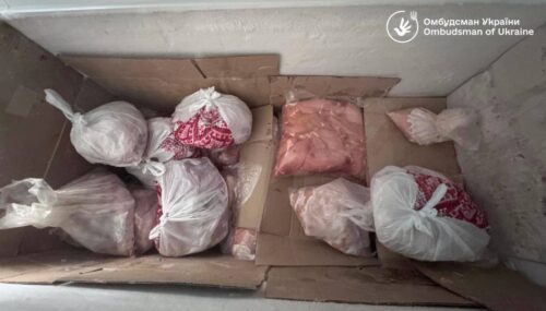 Inside a freezer, several white plastic bags and pink-wrapped packages sit on a cardboard tray.