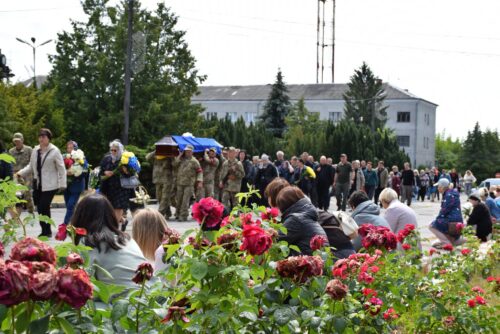 Crowd watching a military procession on a street, with soldiers in uniform; pink roses bloom in the foreground.