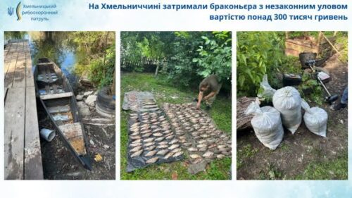 Three-panel montage showing confiscated fish laid out on the ground, bags of fish, and a man inspecting the catch; banner notes a poacher in Khmelnytskyi region detained for illegal catch worth over 300,000 hryvnias.