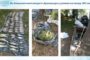 Three-photo collage of confiscated fish: rows on a tarp, a bagged pile in the center, and a boat with gear on the right—from an illegal fishing bust in Khmelnytskyi region.
