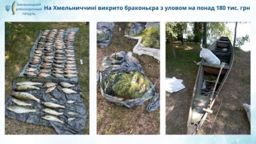 Three-photo collage of confiscated fish: rows on a tarp, a bagged pile in the center, and a boat with gear on the right—from an illegal fishing bust in Khmelnytskyi region.
