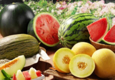 Assorted fresh fruit on a table: whole and sliced watermelons, cantaloupe pieces, and yellow melons among other bite-sized fruit.