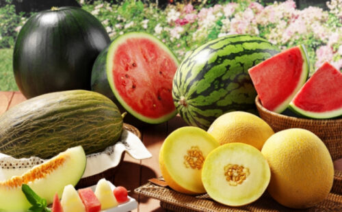 Assorted fresh fruit on a table: whole and sliced watermelons, cantaloupe pieces, and yellow melons among other bite-sized fruit.