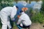 Three emergency responders in white hazmat suits work by a riverbank, handling a blue pipe for water safety operations near tall reeds in a calm lake.