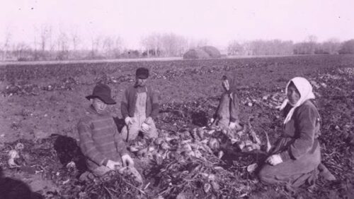 Українські реалії ХХ ст. — робітники, селяни, інтелігенція, чиновники: один день з життя