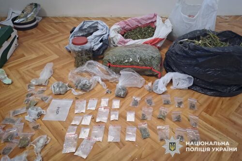 У Хмельницькому затримали групу наркодилерів, у яких вилучили наркотиків на 3,3 млн грн
