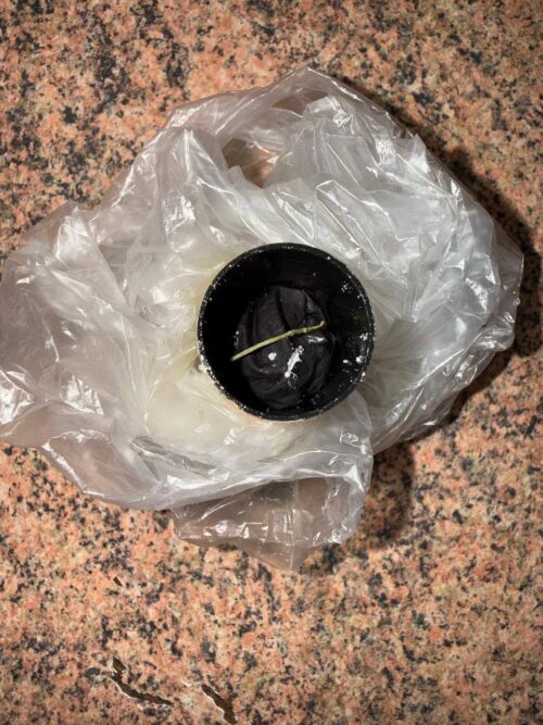 Plastic bag with a black cylindrical container and a small twig inside on a speckled countertop (granite).