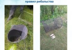 Poster announcing two fishing violations; left: bucket with a broken net on grass; right: a cylindrical fish trap on grass with three fish nearby.