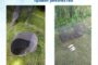 Poster announcing two fishing violations; left: bucket with a broken net on grass; right: a cylindrical fish trap on grass with three fish nearby.