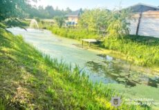 Зник із подвір’я: 2-річного хлопчика знайшли у водоймі, але врятувати не вдалося