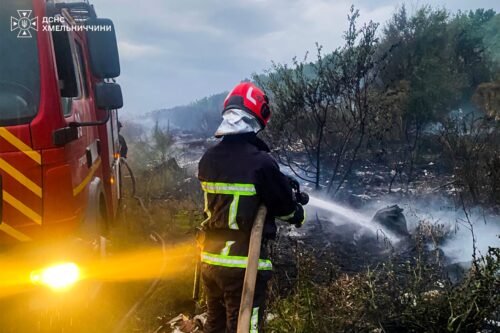 Палаючий день на Хмельниччині: за добу спалахнули свинокомплекс, гараж, авто та понад гектар сухостою
