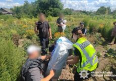 Насіяла жінка конопель і маку: на Хмельниччині викрили мініплантацію просто на городі