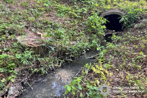 Concrete culvert outlet on a grassy hillside, water flowing into a narrow woodland stream with dense green plants around it.